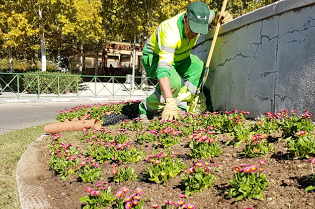 Rivamadrid inicia las replantaciones de otoño introduciendo nuevas especies vegetales