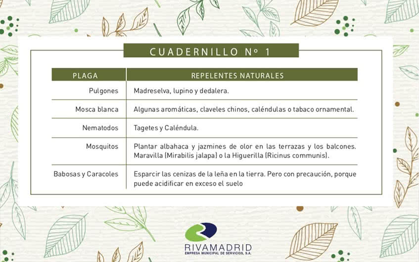 Primavera: Recomendaciones para nuestro Jardín