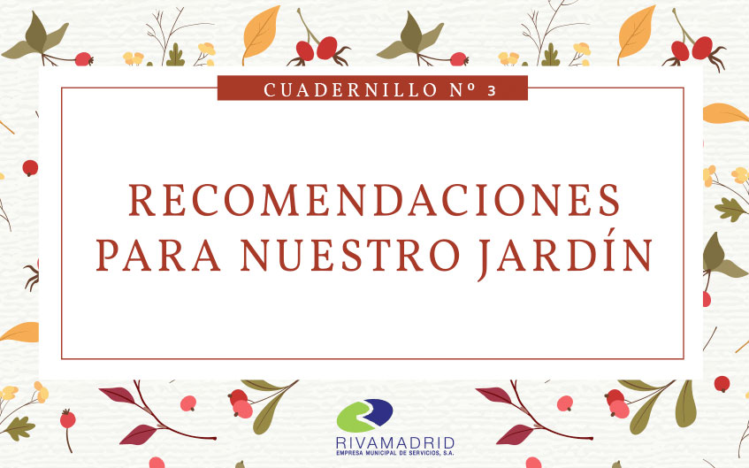 Invierno: Recomendaciones para nuestro Jardín