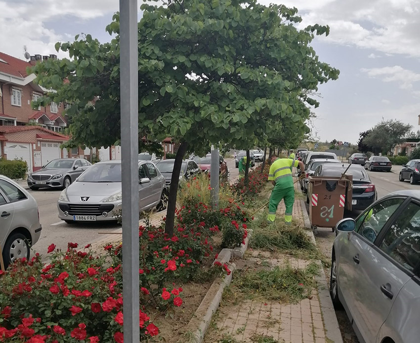 Jardinería contra reloj