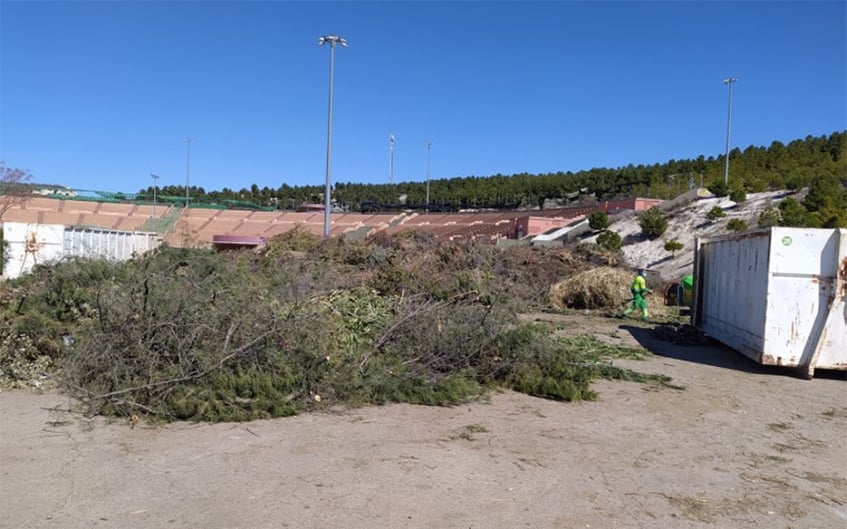 Los restauradores de árboles: Recuperando el patrimonio de Rivas tras FILOMENA