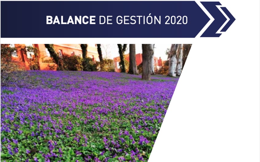 Balance de Gestión 2020