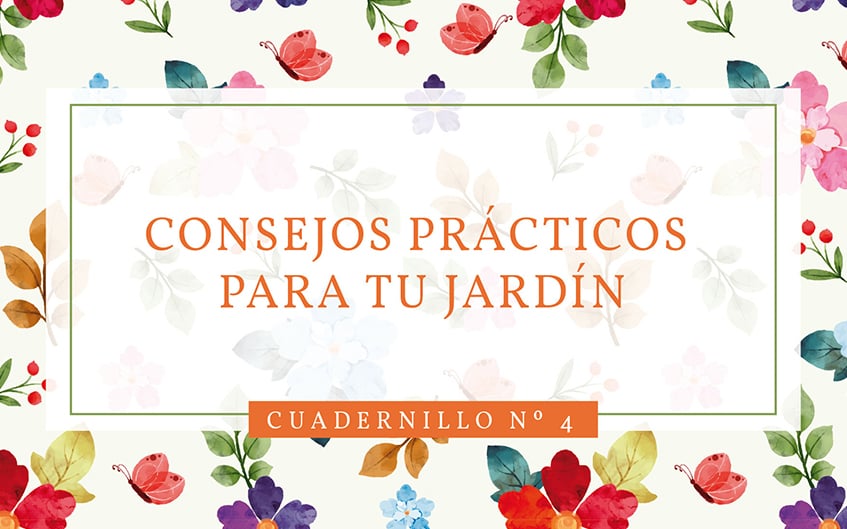 Verano: recomendaciones para tu jardín