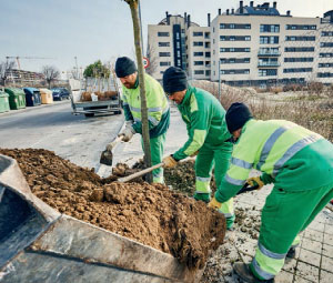 Rivamadrid plantando árboles urbanos