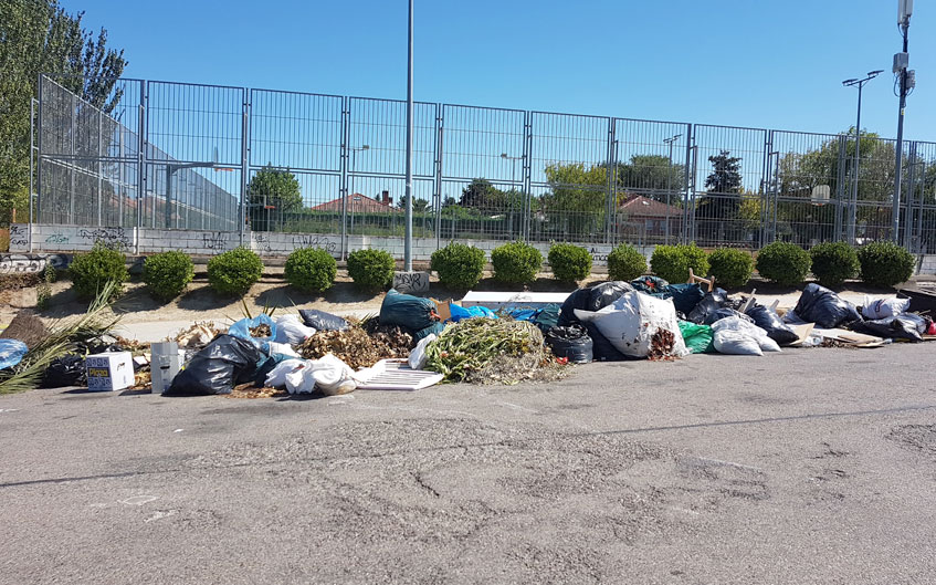 Vertidos Ilegales de poda y otros residuos